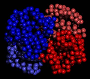 Oxy Haemoglobin (Haem group not shown)