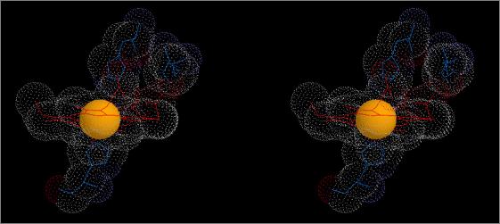 Deoxy (T) Haemoglobin (1hv4)